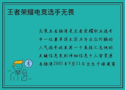 王者荣耀电竞选手无畏